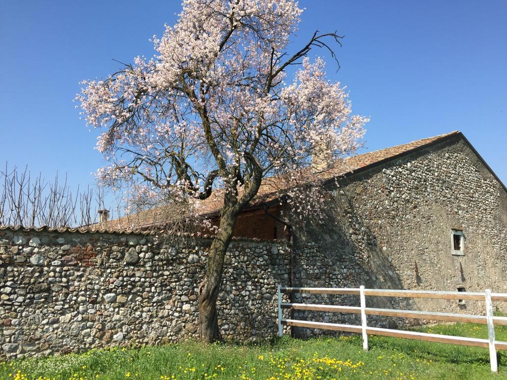 Antico Cascinale Lombardo Bed & Breakfast Lonato Dış mekan fotoğraf